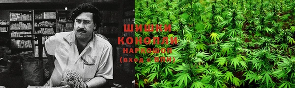 гидропоника Аркадак