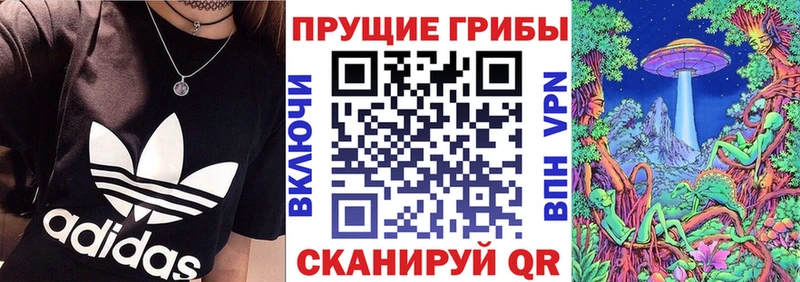 Псилоцибиновые грибы мухоморы  Чаплыгин 